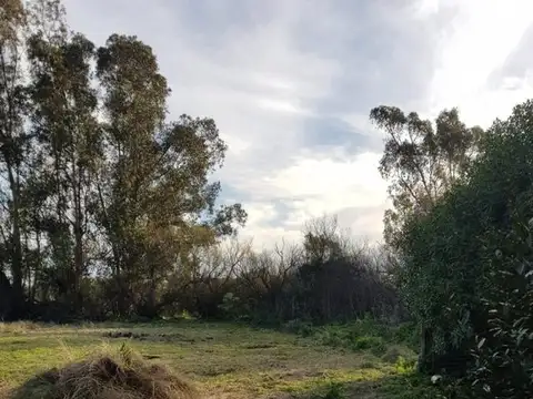 Casa en venta - 2 Dormitorios 1 Baño - 1800Mts2 - Copetonas, Tres Arroyos