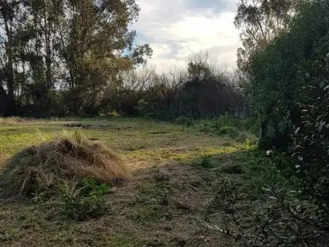 Casa en venta - 2 Dormitorios 1 Baño - 1800Mts2 - Copetonas, Tres Arroyos