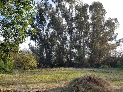 Casa en venta - 2 Dormitorios 1 Baño - 1800Mts2 - Copetonas, Tres Arroyos