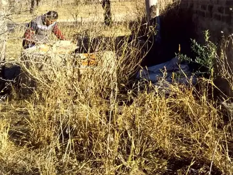 Campo de 593 has en Puerto Alegre, San Luis
