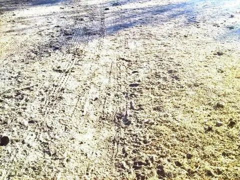 Campo de 593 has en Puerto Alegre, San Luis