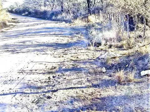 Campo en Venta de 593  ha