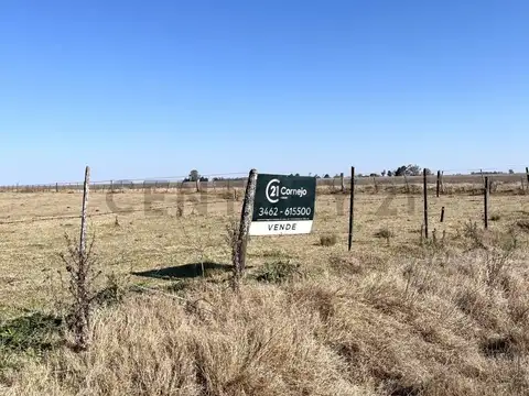 CAMPO - 20 HA - ELORTONDO