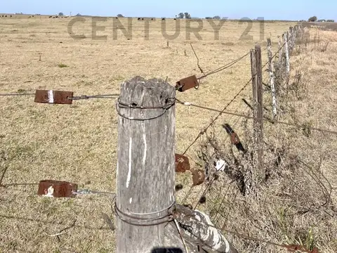 Zona Rural