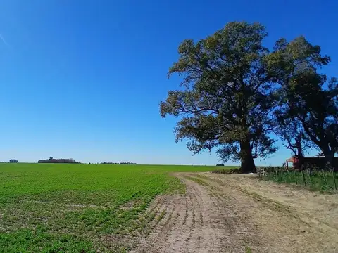 VENTA – Campo mixto de 201.5 hectáreas-  Santa Teresa, Santa Fe.