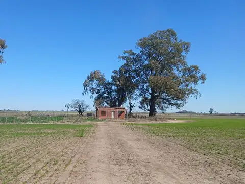Santa Teresa