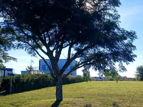 Venta. Terreno en Medal Country Club