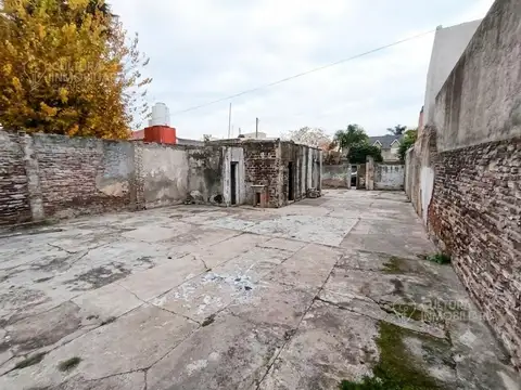 flora al 1000