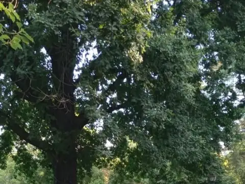 Quinta en Venta 40 años