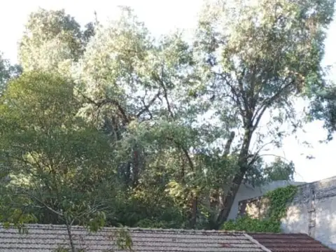 Quinta - Francisco Alvarez