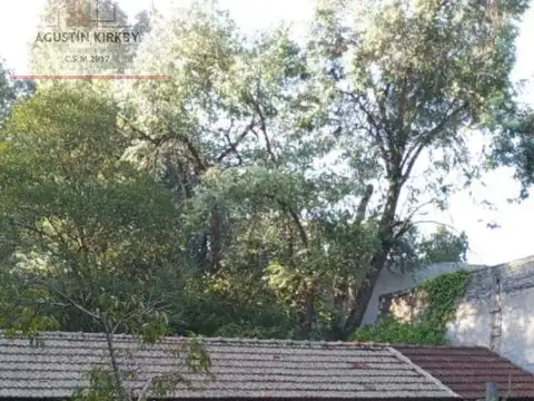 Santo Domingo al 5200