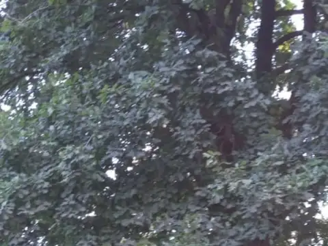 Quinta en Venta A Estrenar