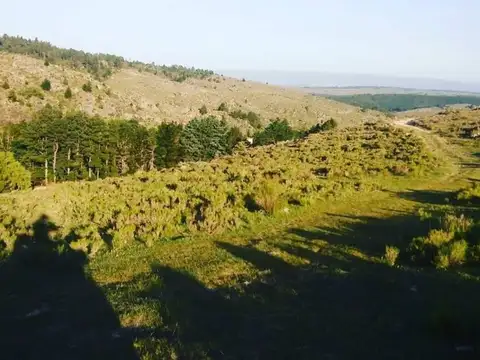 Terreno en Venta de 3500,0 m2