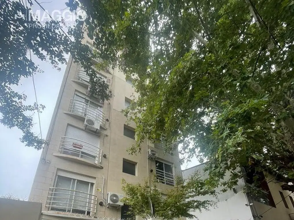 Saavedra al 400