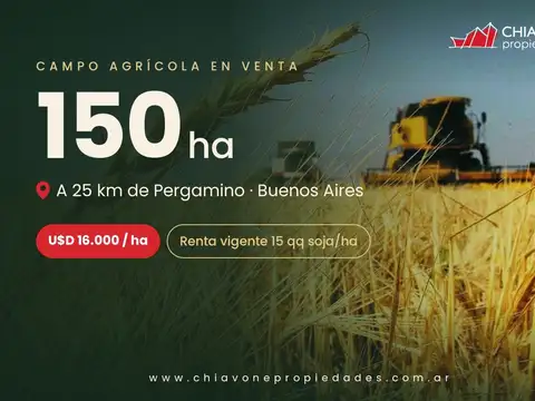 PERGAMINO - CAMPO AGRÍCOLA DE 150 HECTÁREAS