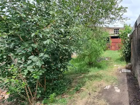 EN VENTA EN EL PALOMAR LOTE DE 10.60 X 39 CON GALPON DE 160M2 AL FONDO - FICHA 8614