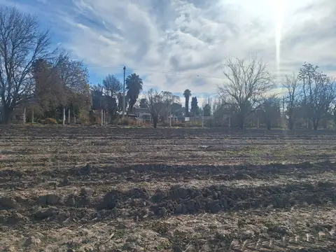 Terreno en Venta 39  mts Fondo