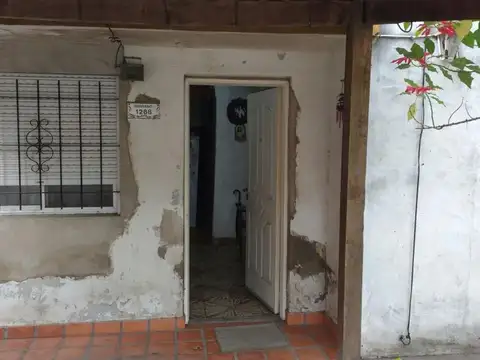 Serrano 1200
