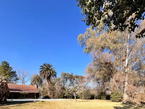 América y ruta 9 100