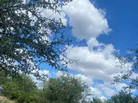Venta Campo 500 ha en Lugones, Santiago del Estero