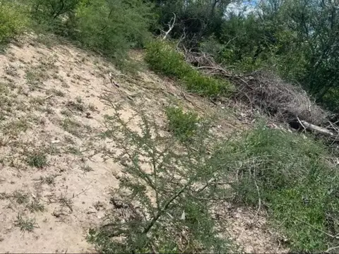 Venta Campo 500 ha en Lugones, Santiago del Estero