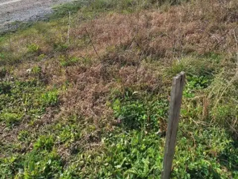 Terreno en venta en Finca Los Cerezos II en Los Hornos