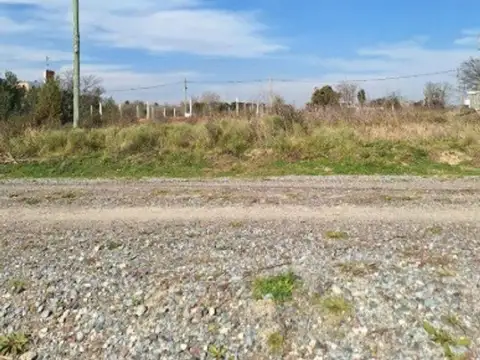 Finca Los Cerezos 2