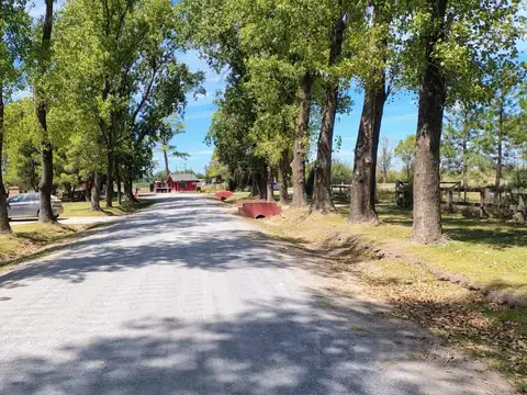 Terreno en Venta de 5000,0 m2