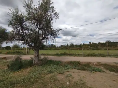 Milagros 3700