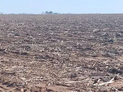 Terreno en Venta en Rio Cuarto, USD 2.000.000