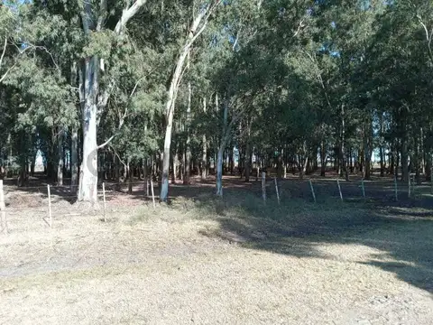 VENTA DE CAMPO, BERISSO