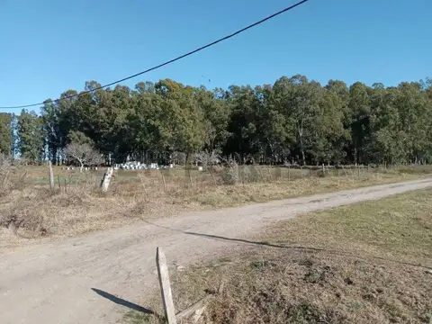 paraje el pescado