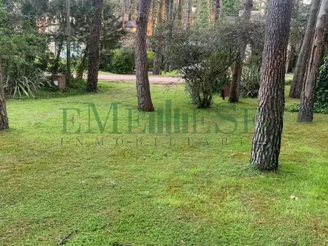 DE LAS GARZAS 500