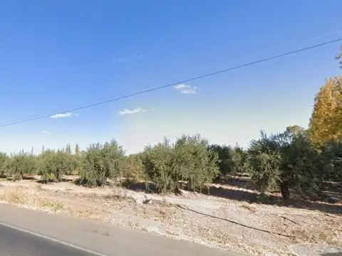 Venta amplio Lote Ruta 60 Rodeo del Medio Maipú