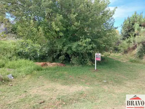 Alameda 201 e/ Calle 308 y 300