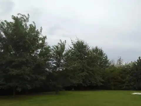 Terreno en Venta de 600,0 m2