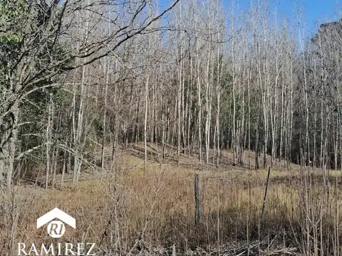 4LOTES LINDANTES-VILLA YACANTO