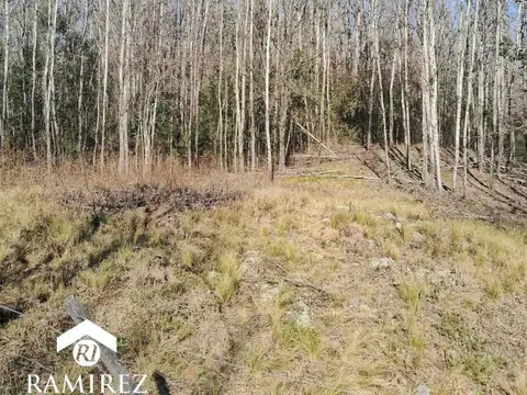 4LOTES LINDANTES-VILLA YACANTO