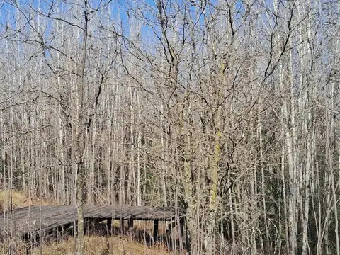 Terreno en Venta de 600,0 m2