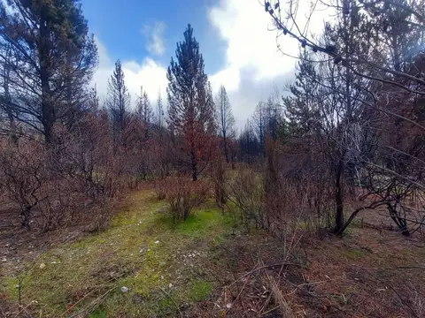 Terreno en cercanías al Lago Epuyén