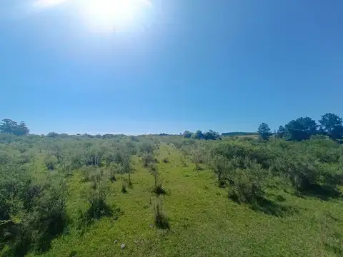 Puerto Yerua