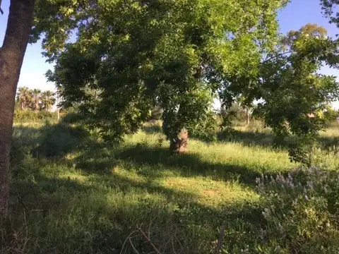 TERRENO EN VENTA EN LOS HORNOS