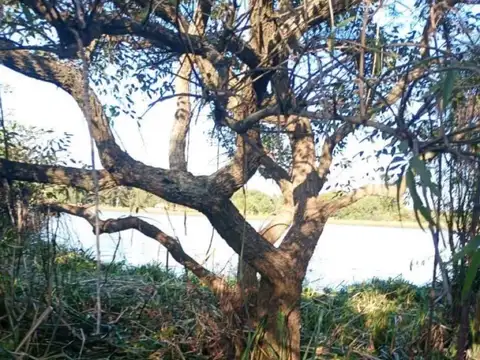 Terreno en Venta de 1500,0 m2