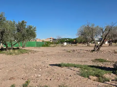 Terreno en Venta de 314,0 m2