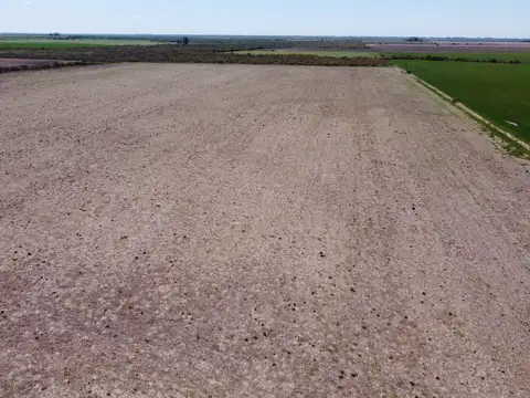 115 has campo agrícola Dpto Uruguay