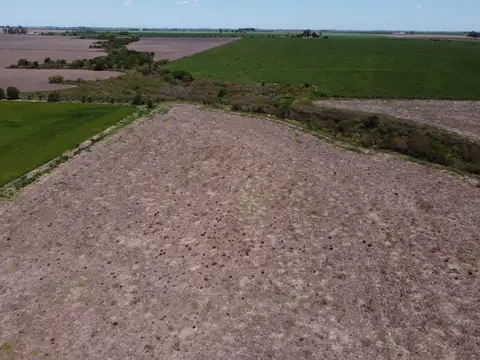 Campo en Venta de 115  ha