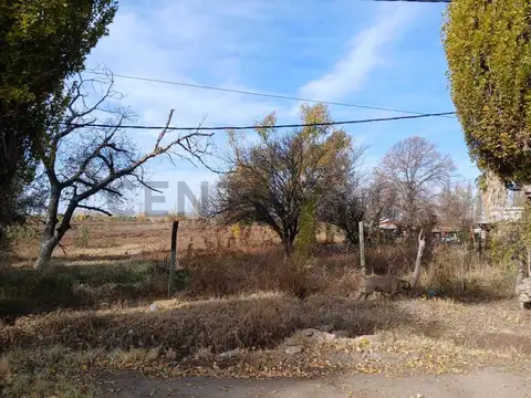 Venta Terreno en Perdriel, Luján de Cuyo