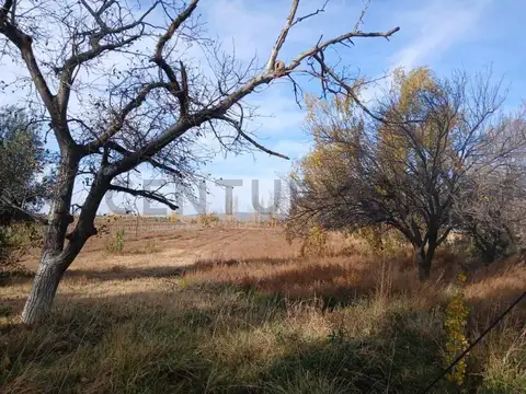 Venta Terreno en Perdriel, Luján de Cuyo