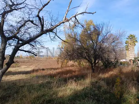 Terreno en Venta de 3181,0 m2
