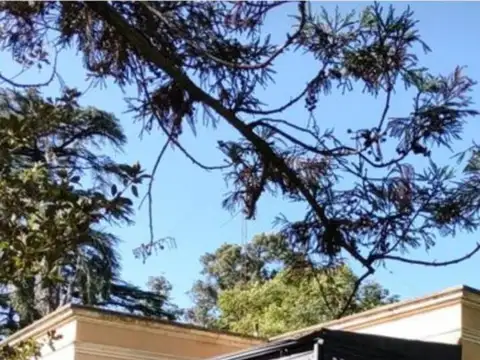 Campo en San Nicolas De Los Arroyos